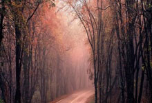 热刺后防线筑起铜墙铁壁，赛季前景一片光明！