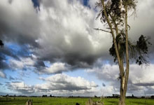 骑士的荣耀时刻：剑指巅峰，士气如虹！