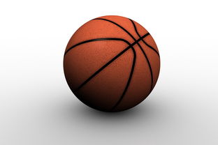 爱游戏网页版入口-德国篮球职业联赛落幕，球迷欢呼陶醉